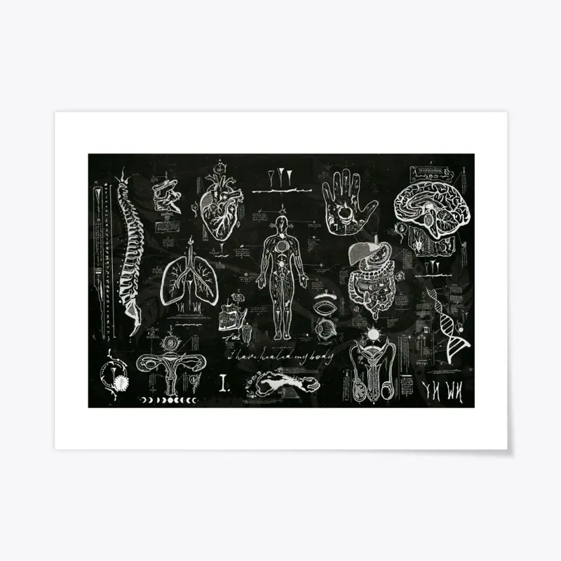 Anatomy Alchemy Poster